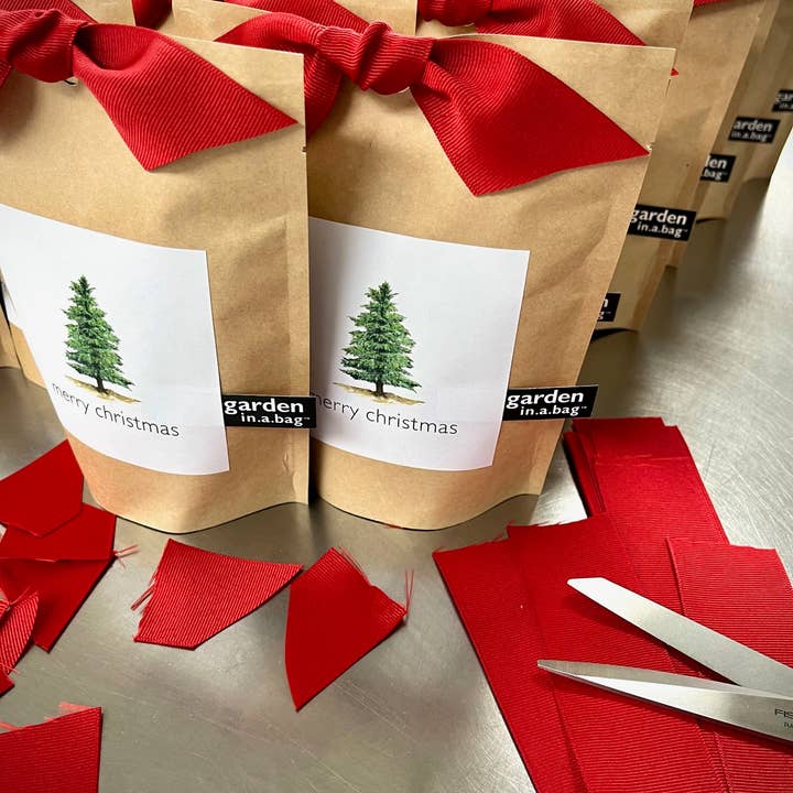Potting Shed Creations, Ltd. - Wholesale Plant Seeds - Garden in a Bag | Christmas Tree | Best Seller