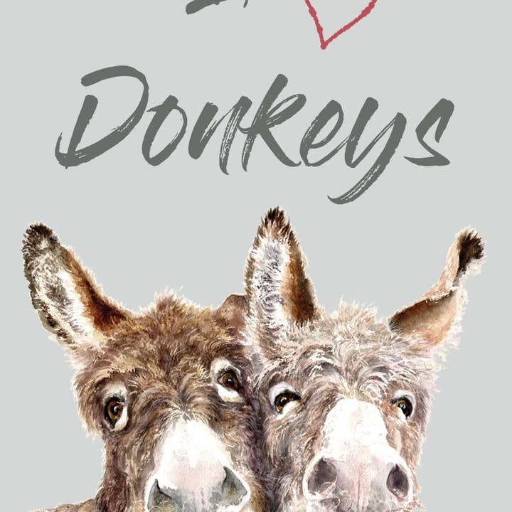 Field and Fur Gifts - Vendita all'ingrosso Biglietti d'amore - Biglietto di auguri Donkey, Fridge Magnet2