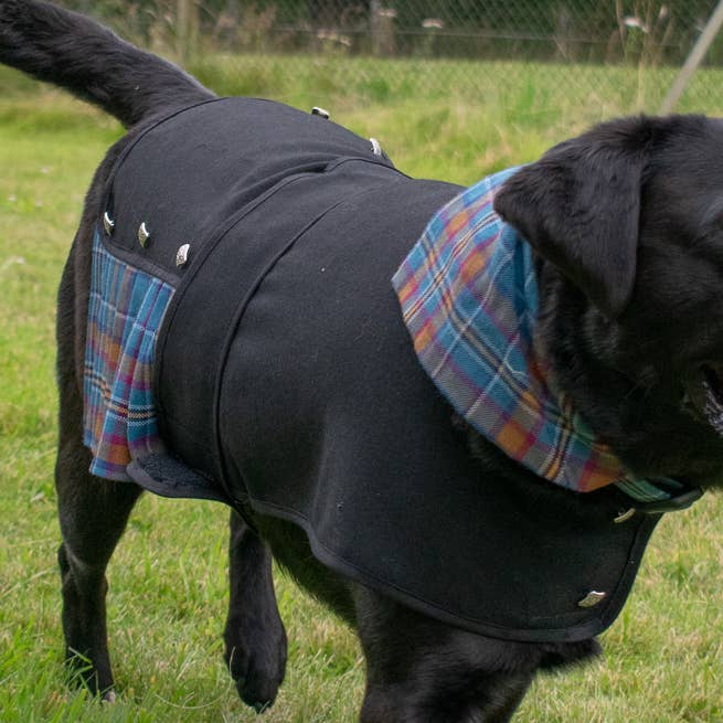 Strathmore Woollen Co - Wholesale Pet Costume - Dog - Doggie Kilt5