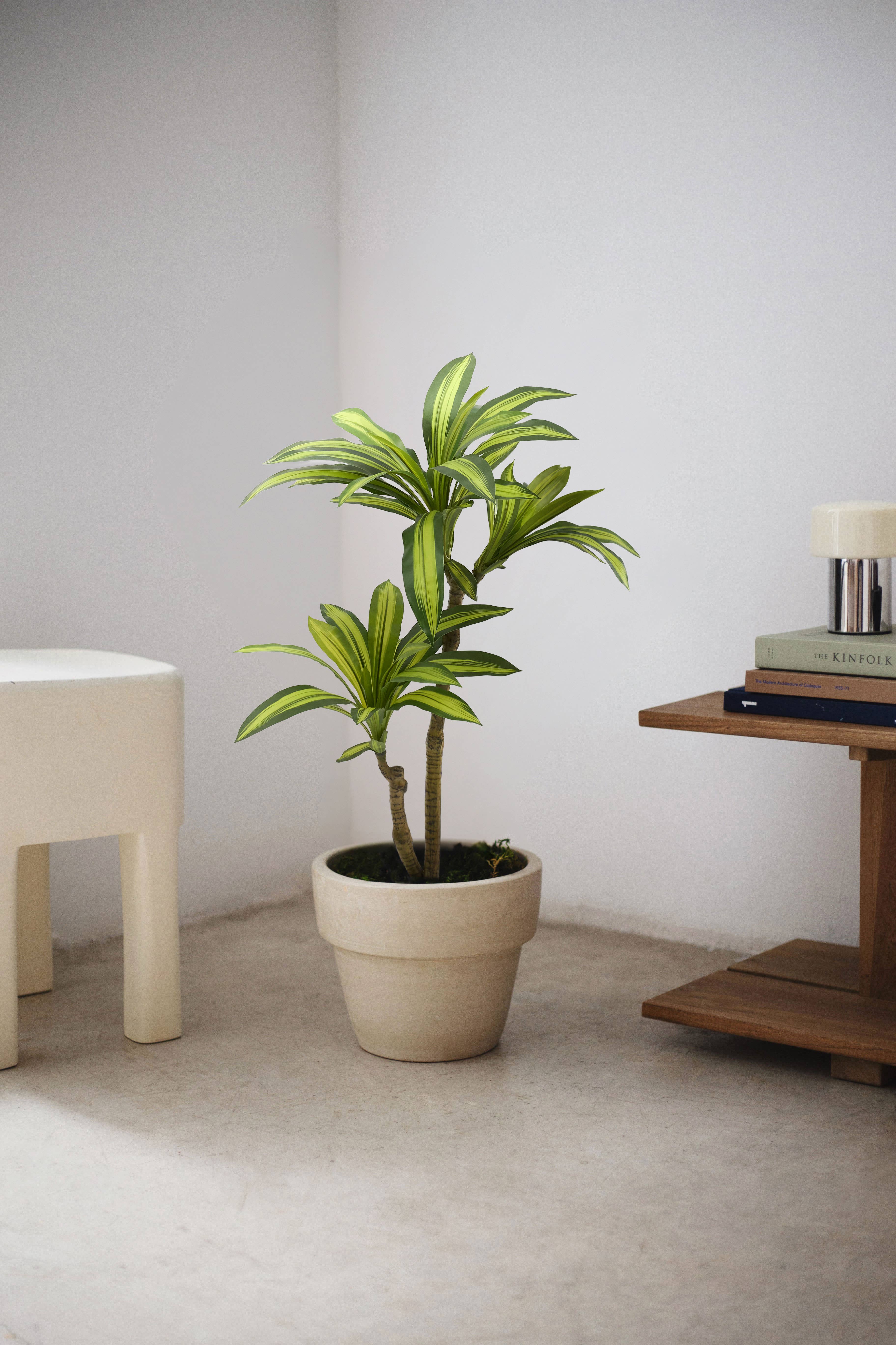 Maia Shop: No Duties for the US - Wholesale Artificial Plant - 3.5' Artificial Dracaena Tree