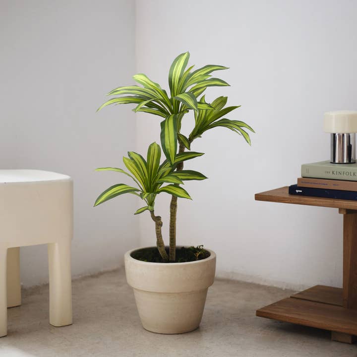 Maia Shop: No Duties for the US - Wholesale Artificial Plant - 3.5' Artificial Dracaena Tree0