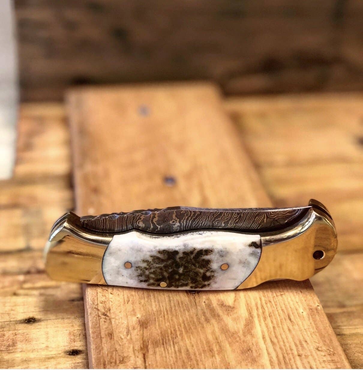 Vintage Gentlemen - Wholesale Pocket Knife/Holder - Deer Stag Pocket Knife- VG 321