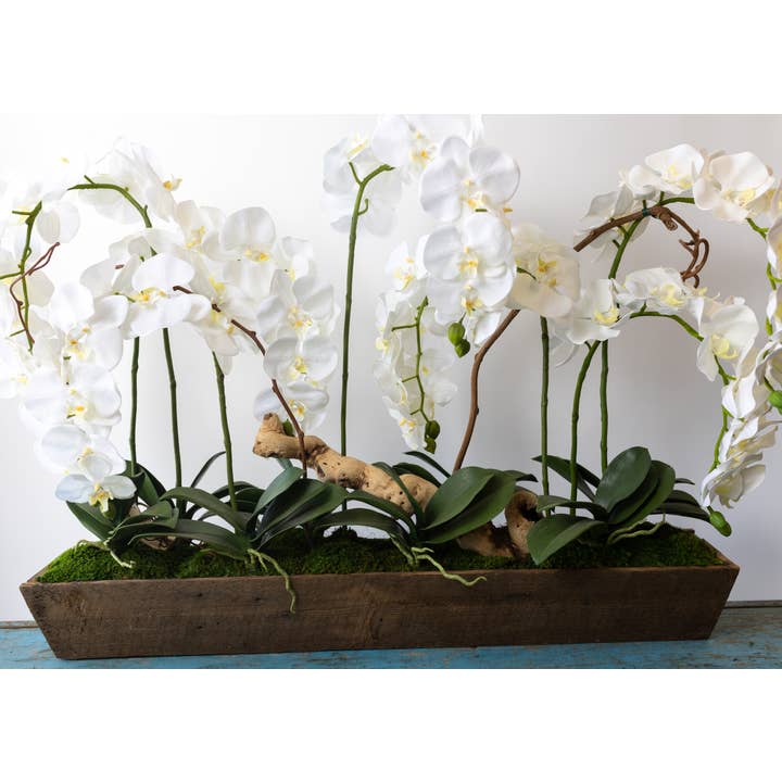 Forever Green Art - Vendita all'ingrosso Fiori finti - 7 fioritura orchidea