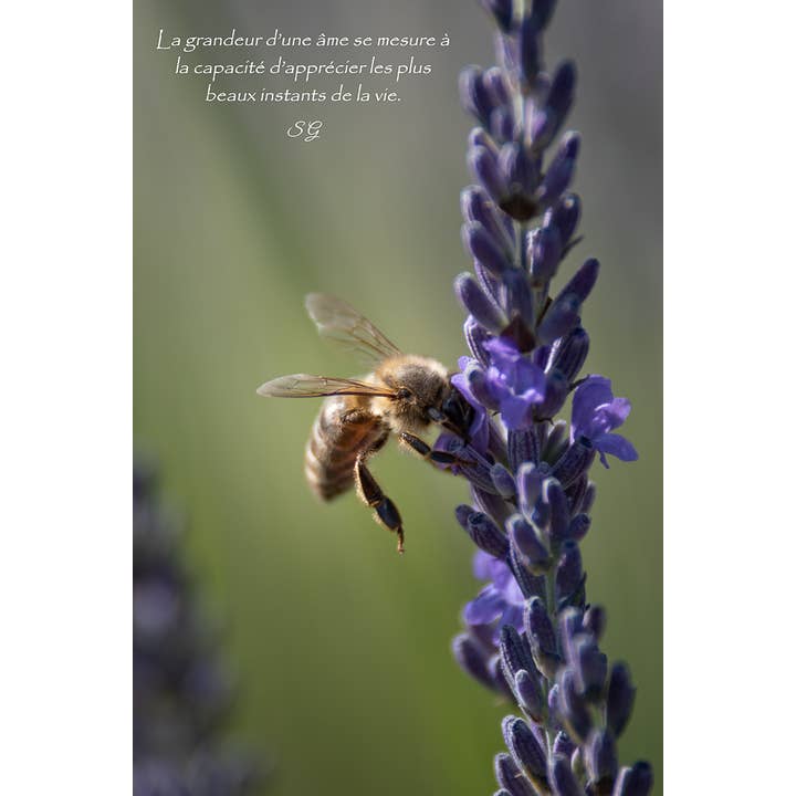 Att vara av ljus för wholesale av L'Ecriture D'Un Regard