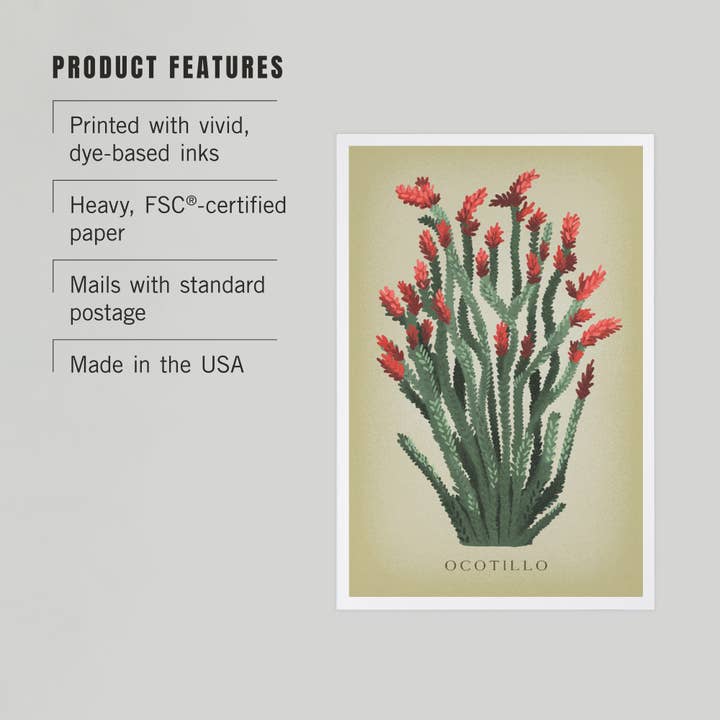 Lantern Press - Wholesale Postcard - PREMIUM POSTCARDS Ocotillo, Vintage Flora2