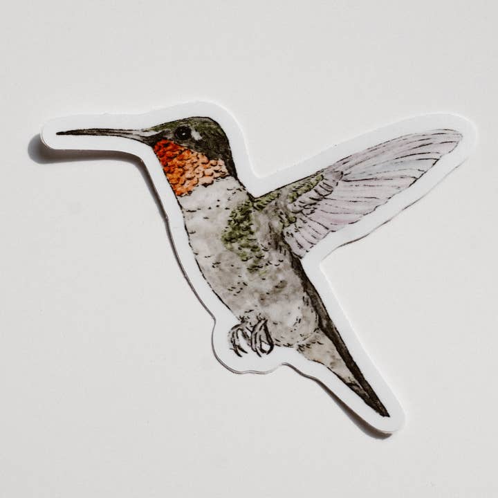 Hummingbird vinyl sticker voor wholesale door WLDFLWR Studio