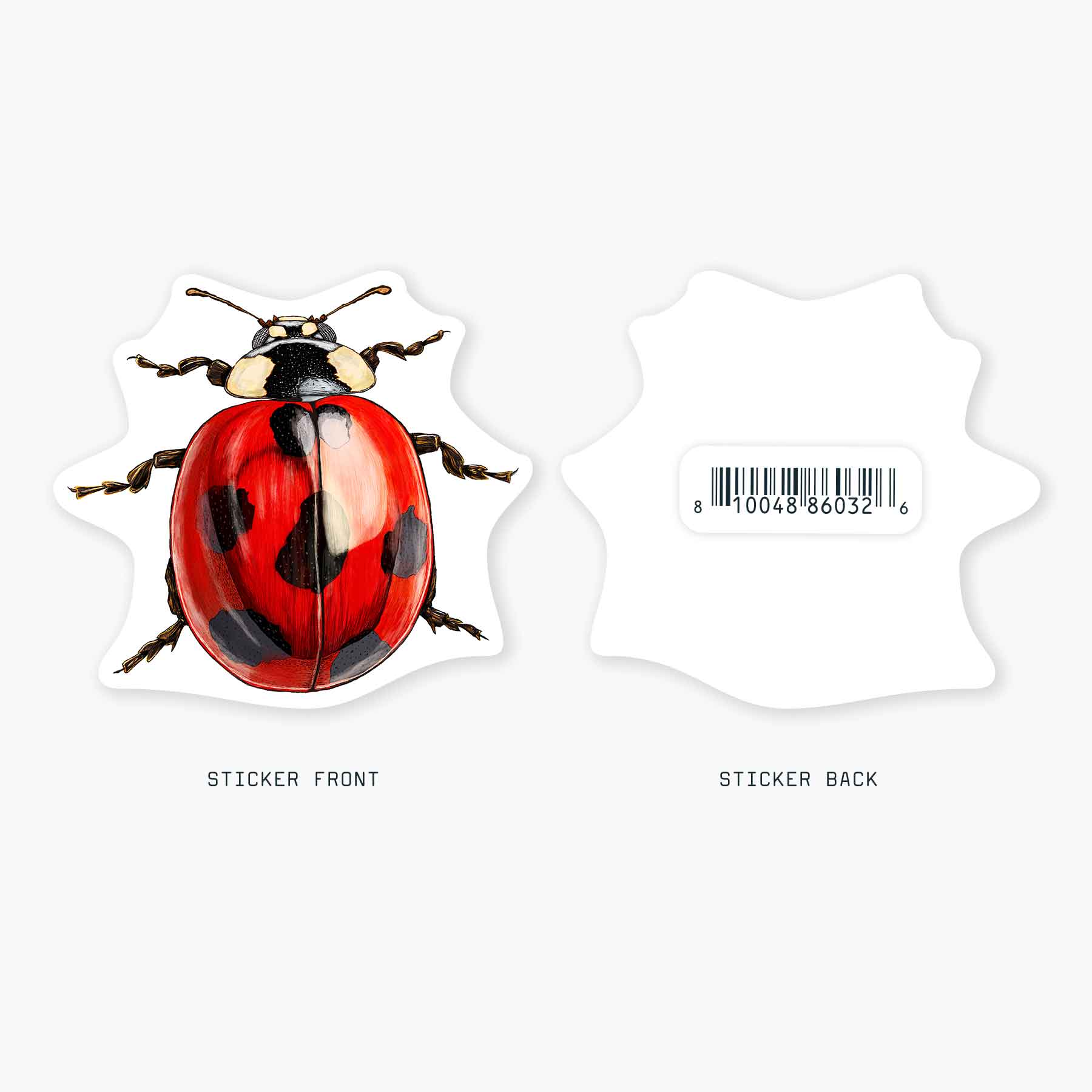 Nice Enough Stickers - Wholesale Sticker - Ladybug - 3" Art Sticker1