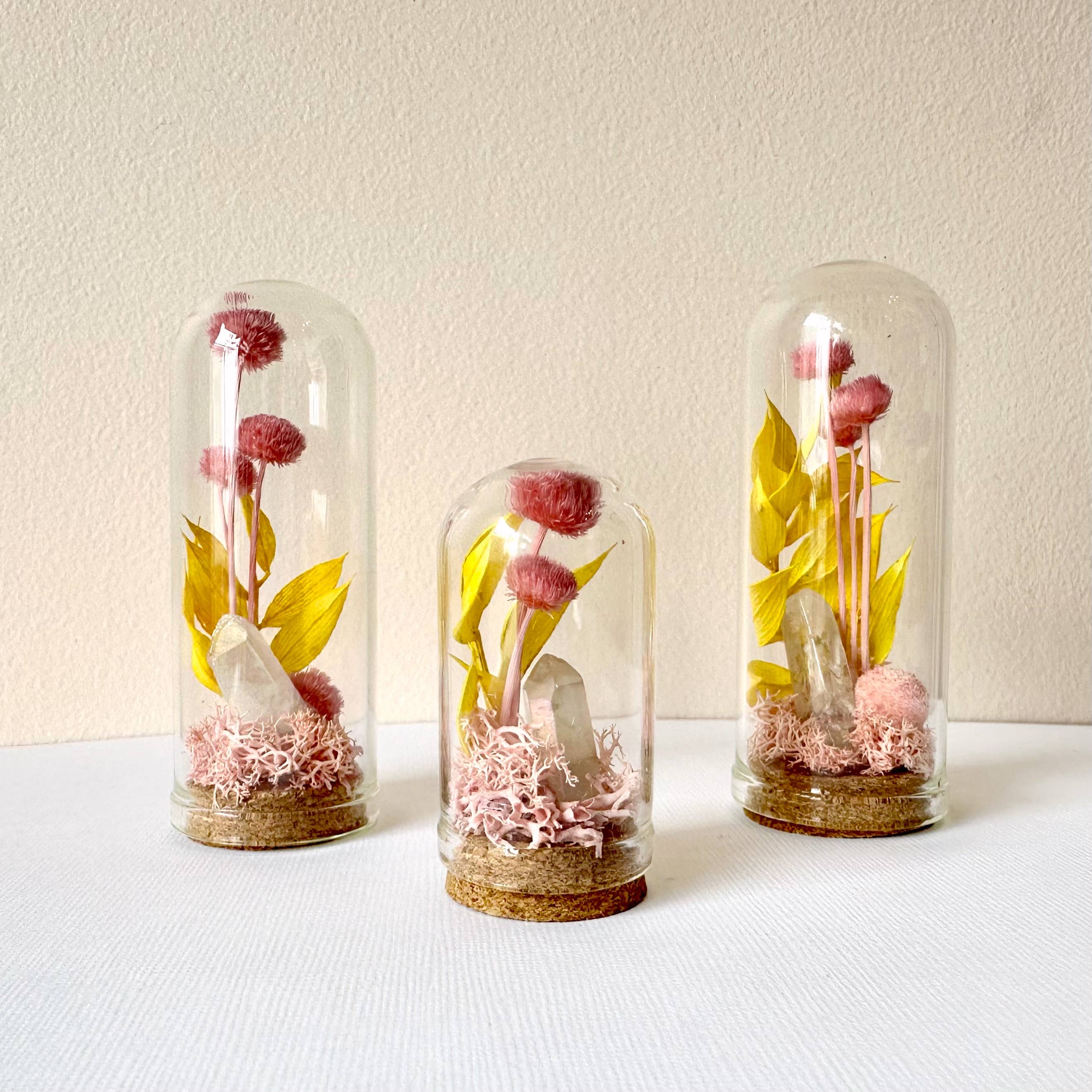 CA Studios - Wholesale Terrarium - Pink Crystal Fairy Garden Mini Glass Cloche Terrarium2