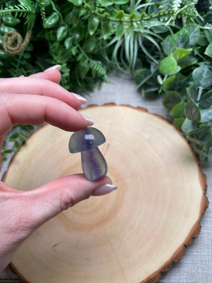 Copper Ashes - Wholesale Spiritual Stone/Crystal - Fluorite Mushroom2