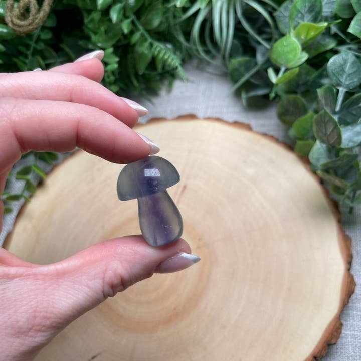 Copper Ashes - Wholesale Spiritual Stone/Crystal - Fluorite Mushroom2