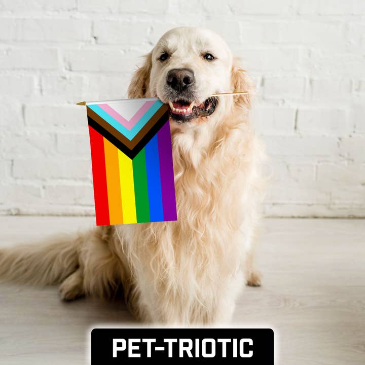 G128 - Wholesale Flag - G128 24 Pack Handheld LGBT Progress Rainbow Pride Stick Flags | 12x18 In | Printed 150D Polyester, Country Flag, Solid Wooden Stick, Spear Gold Tip3