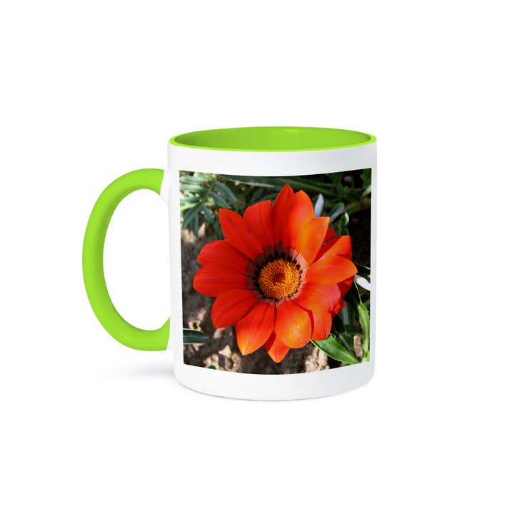 3dRose, Flowers Gazania Terracotta, Mug and other Purchase Wholesale terre à gazon. Free Returns & Net 60 Terms on Faire trending on Faire.