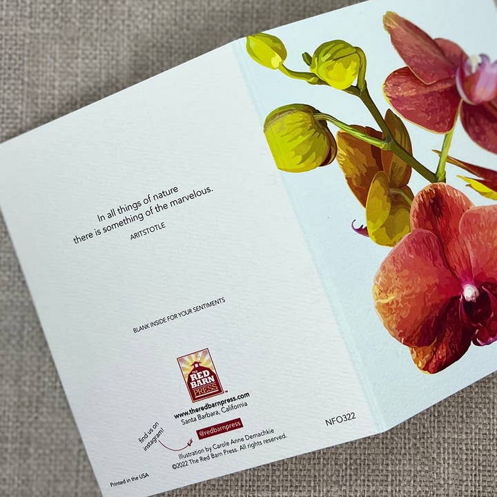 The Red Barn Press - Wholesale Everyday Greeting Card - Floral Notecard | Modern Orchid with Buds Illustration1