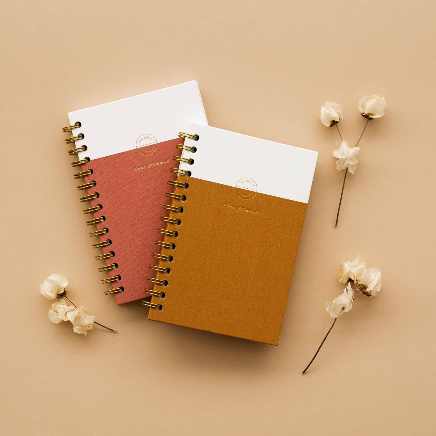 Promptly Journals - Wholesale Dagboek/agenda - Mijn dankbaarheidsdagboek: Een jaar van dankbaarheid schrijfwaren10