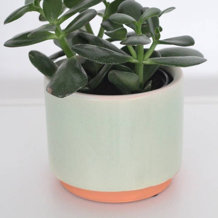 Small Sage Green and Terracotta Ceramic Round Planter Pot for wholesale by Sprout & About