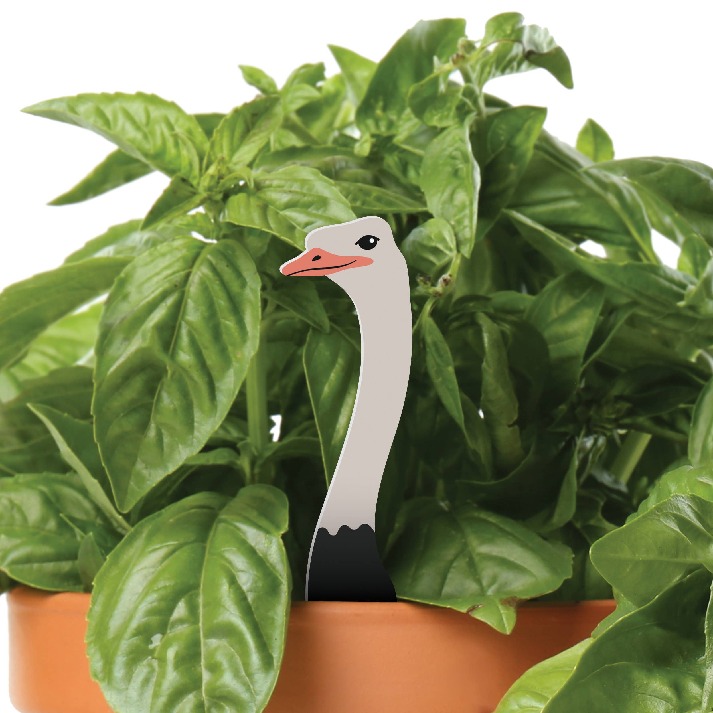 P. Graham Dunn - Vente Piquets de jardin/pelouse - Autruche Plant Pal0