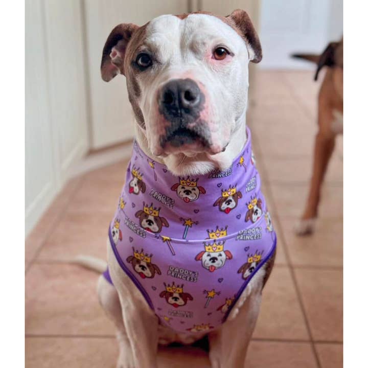 Pittie Clothing Co. - Wholesale Pet Shirt - Dog - Daddy's Princess Muscle Tee2