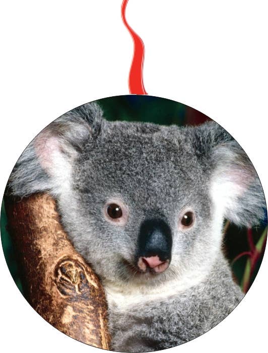 BMS BIZ - Wholesale Ornament - Koala Bear Christmas Ornament0
