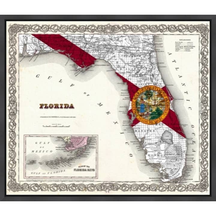 Florida Color Map for wholesale by Picture King