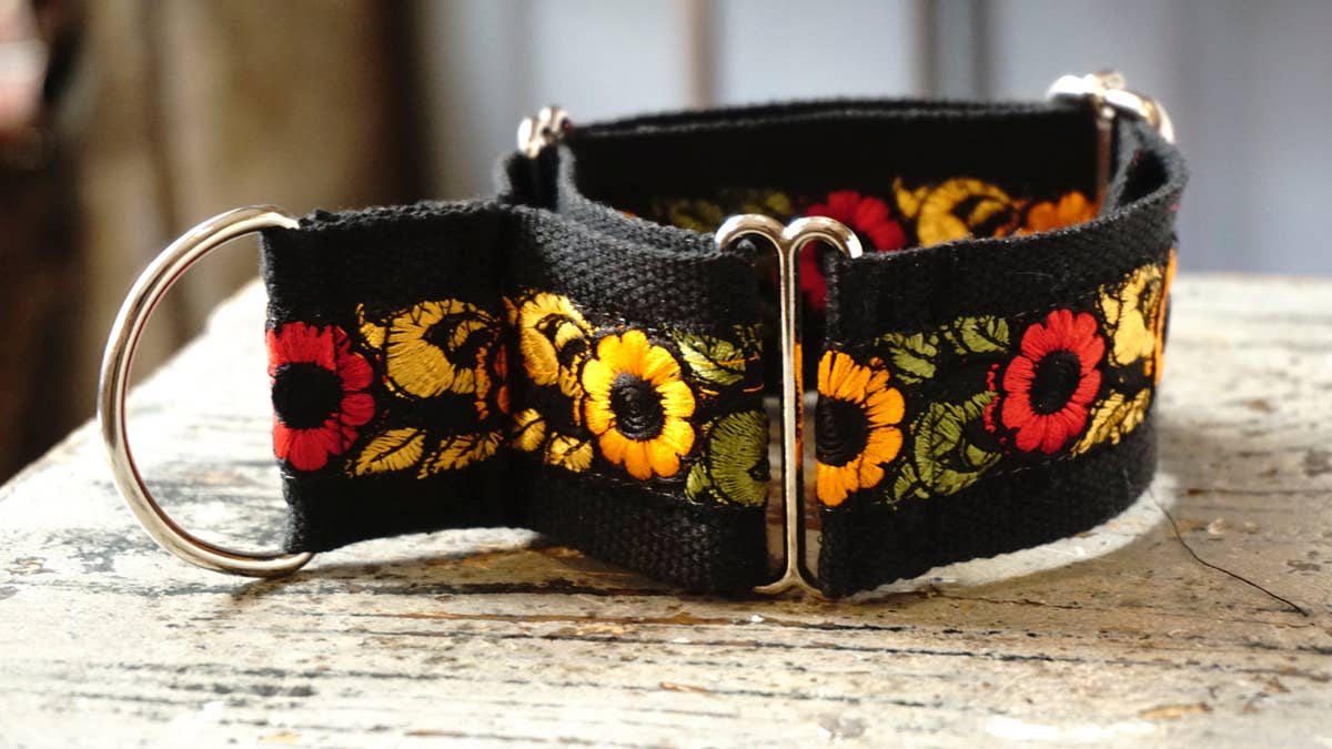 hundsfutter - Wholesale Pet Collar - Dog - Wide collar anti escape design9