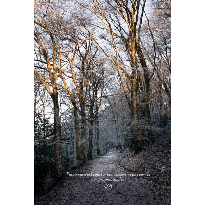 Vers la lumière pour la vente par L'Ecriture D'Un Regard