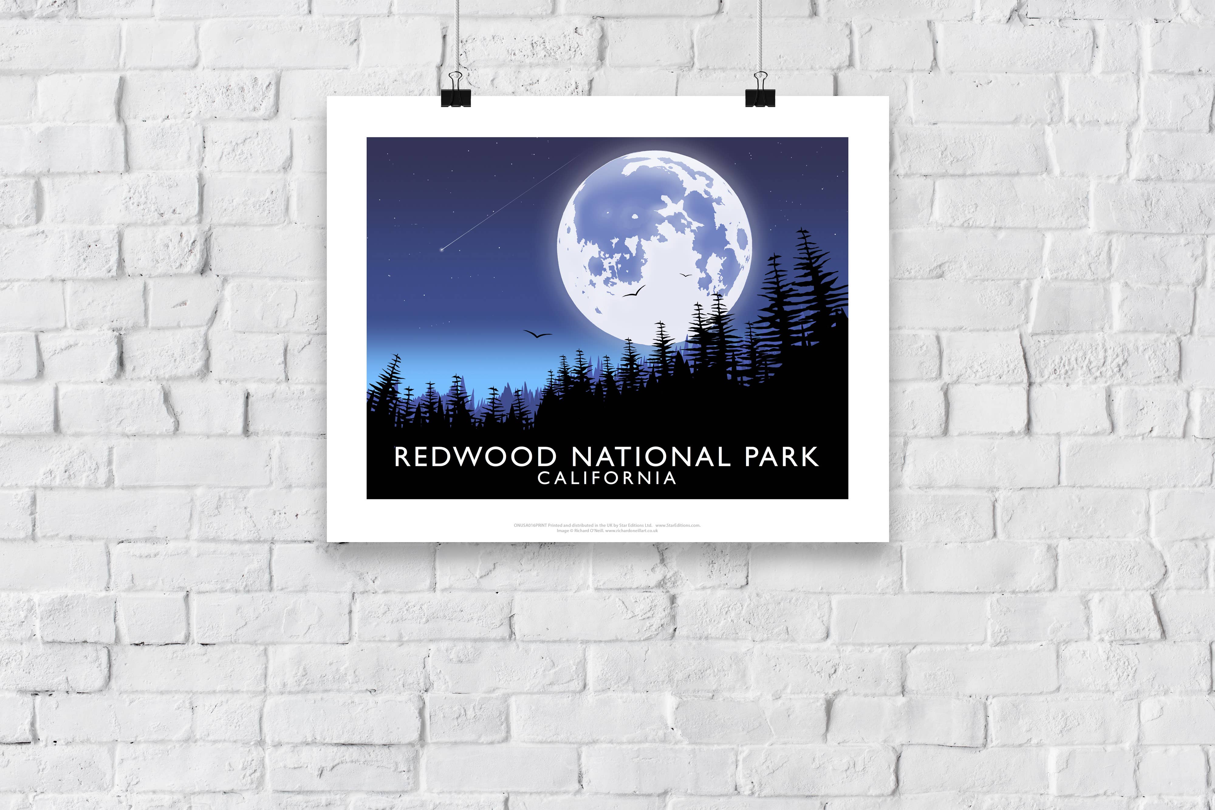 Star Editions - Wholesale Art Print - Redwood National Park, California -Richard O'Neill Art Print2