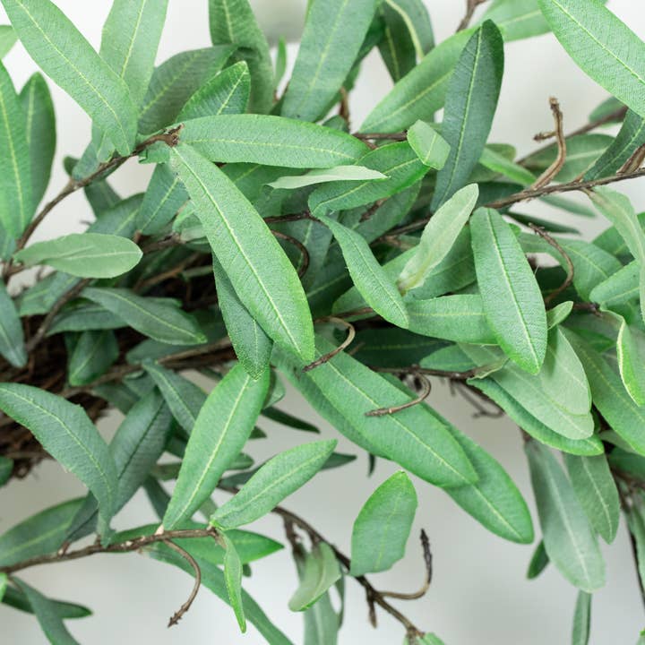 Devanie At Home (Formerly Adams & Co.) - Wholesale Wreath - K10001 - 30" Ollie Olive Wreath - Faux Olive Leaves3