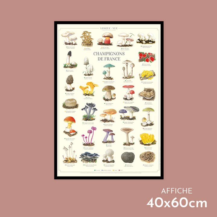 Franska champinjoner - Affisch för wholesale av Longue-vue