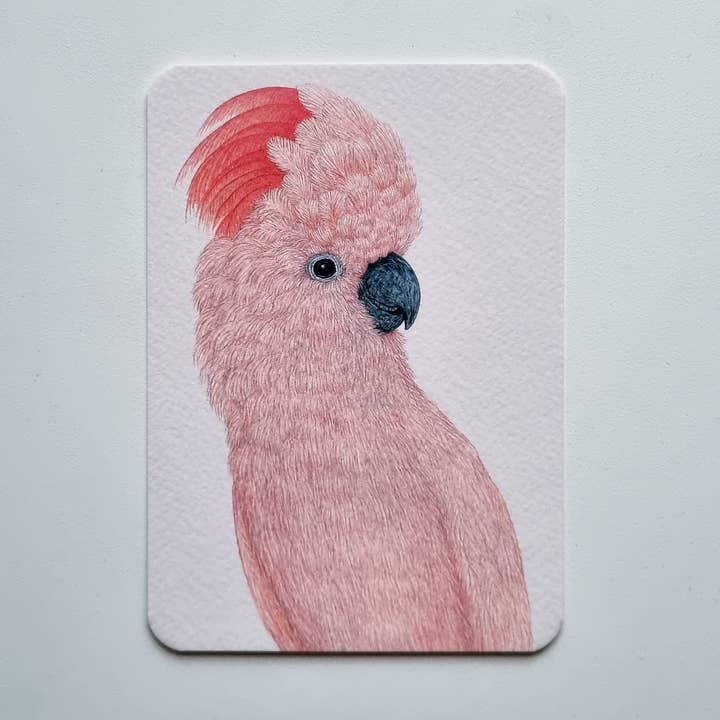 Postcard SHELBY for wholesale by Studio Binck