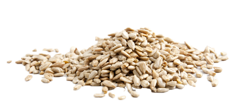 Good Sense Foods - Wholesale Nuts - Roasted & Salted Sunflower Kernels (shelled sunflower seeds)1