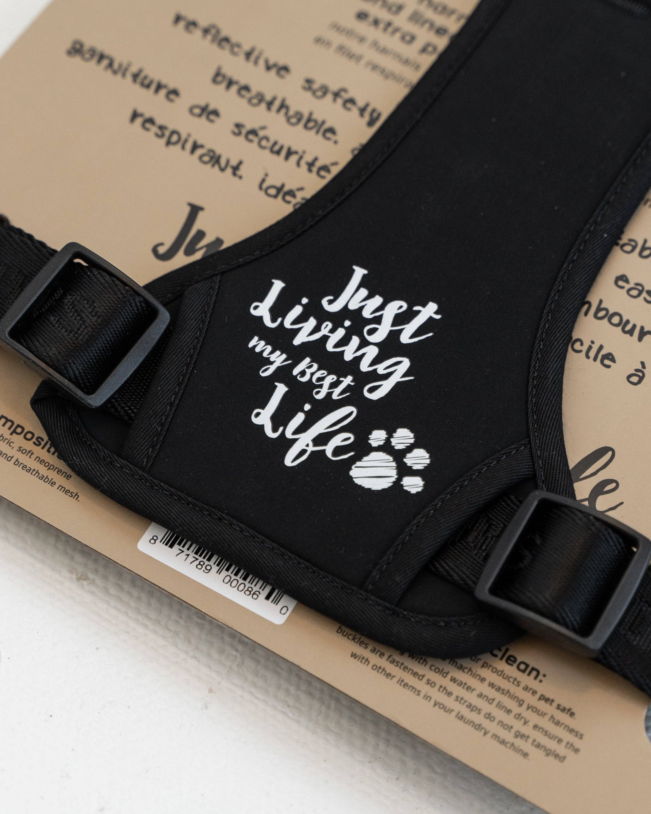 dexypaws - Wholesale Pet Harness - Dog - No-Pull Dog Harness - Black4