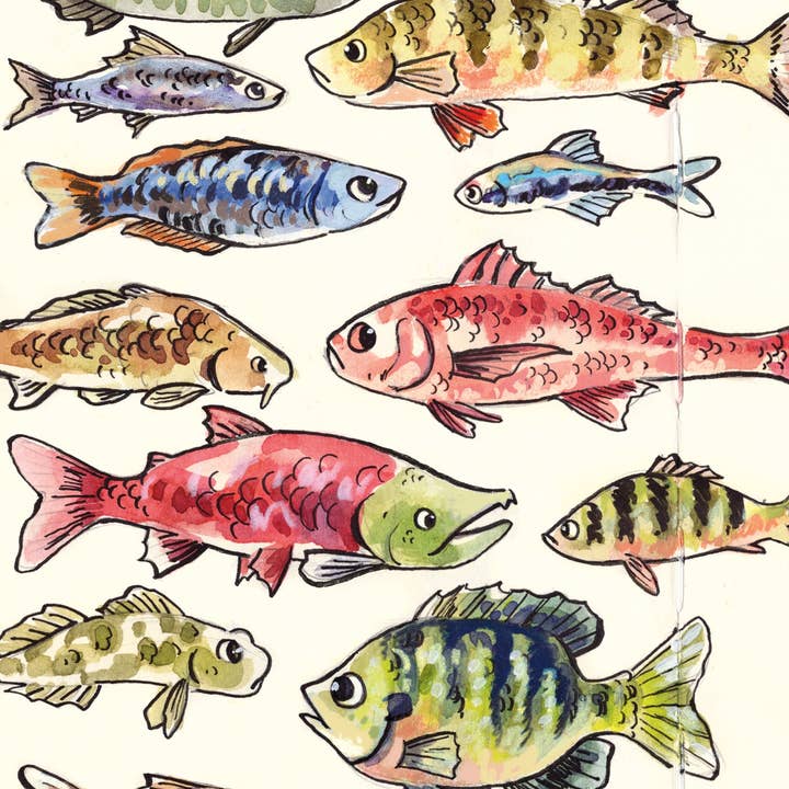 Fiskarter - Skissboksutskrift för wholesale av JelArts