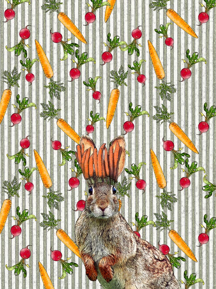 King of carrots (ticking stripe) 100% cotton flour sack kitchen towel 18 x 24 inches for wholesale by Alphie and Ollie