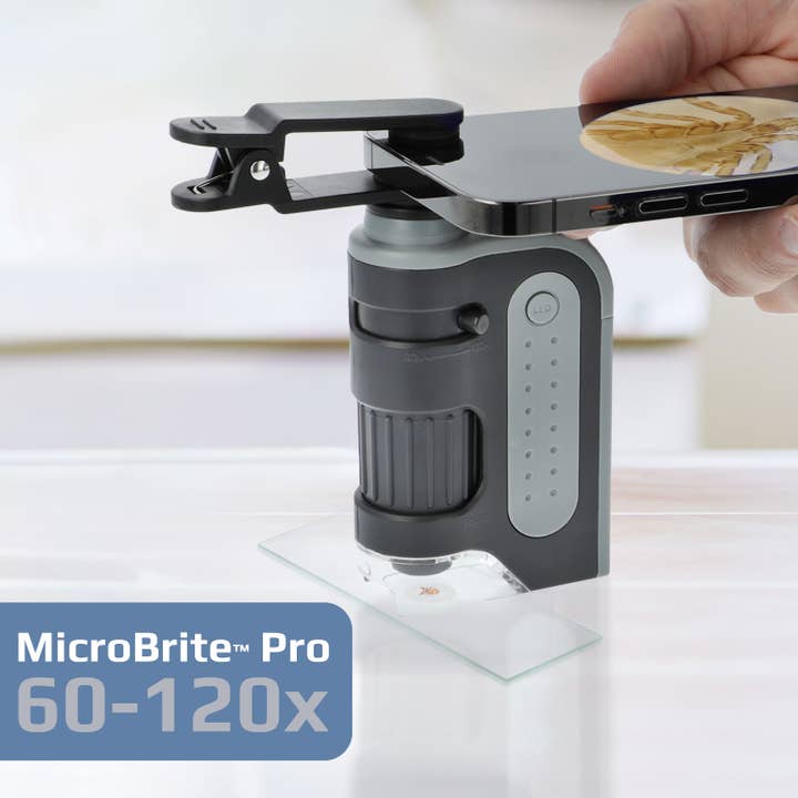 MicroBrite Pro Kit with Pocket Microscope and Adapter for wholesale by Carson EU