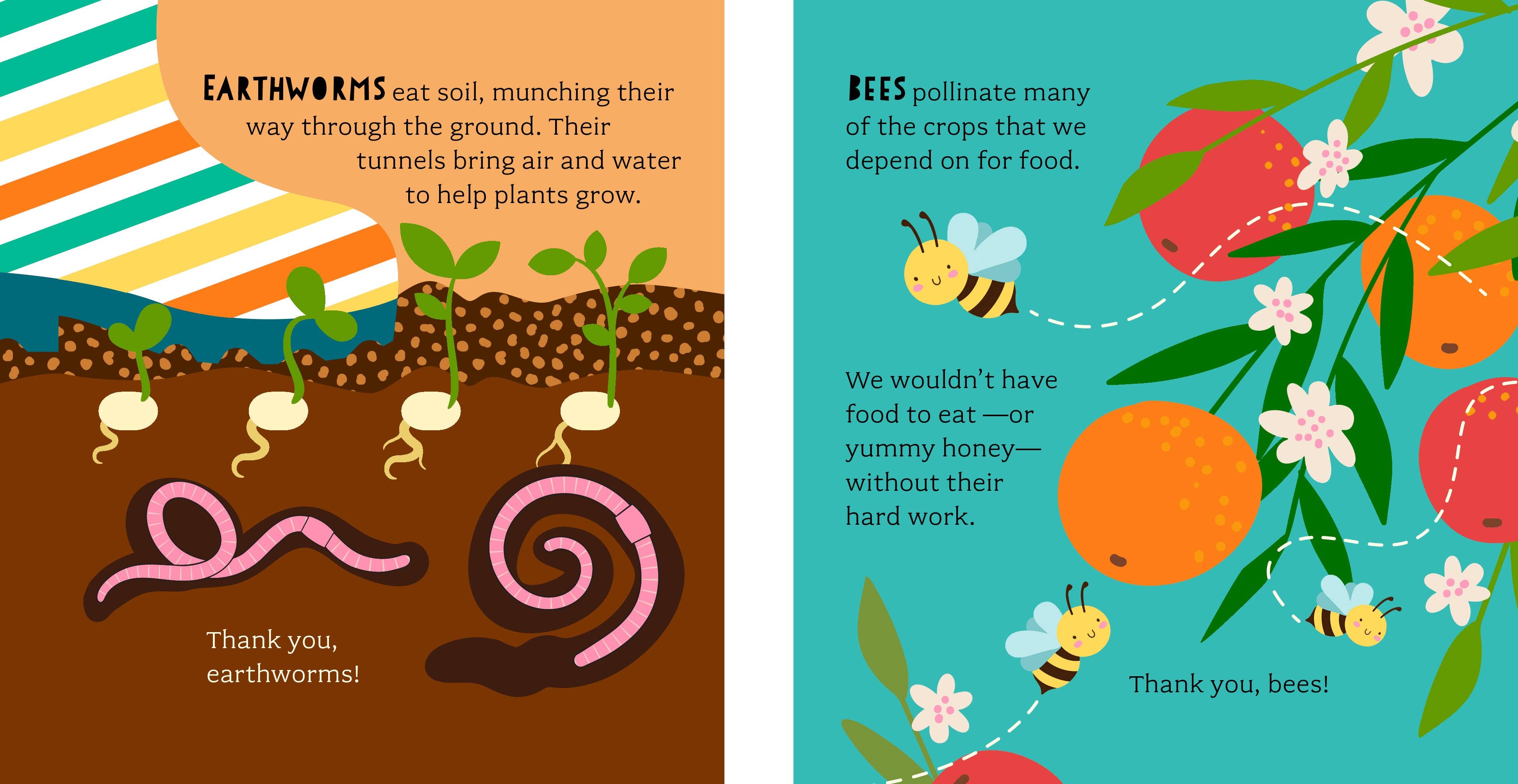 Bushel & Peck Books - Wholesale Baby & Toddler Book (0-2) - Bathtub Genius: Let's Learn About Bugs5