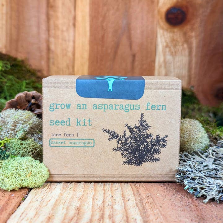 Plantflix - Wholesale Plant Seeds - Houseplant Seed Kit 3