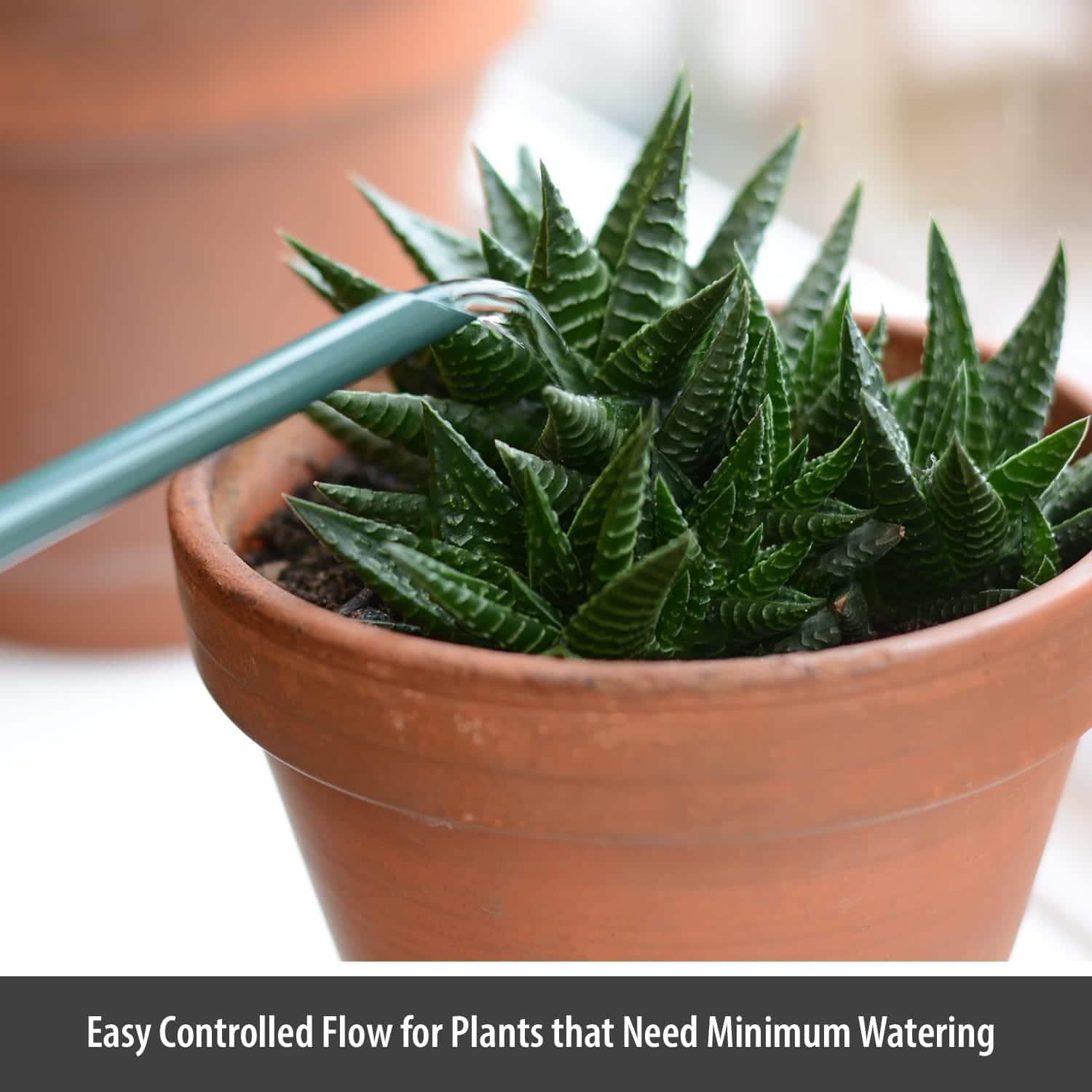 Wholesale Gifts Tomorrow - Wholesale Watering Can - Dark Green 1.4L Indoor Watering Can Small Metal Coated Steel4