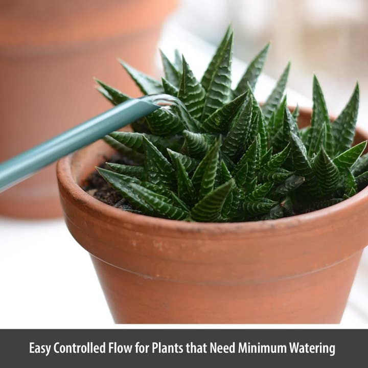 Wholesale Gifts Tomorrow - Wholesale Watering Can - Dark Green 1.4L Indoor Watering Can Small Metal Coated Steel4