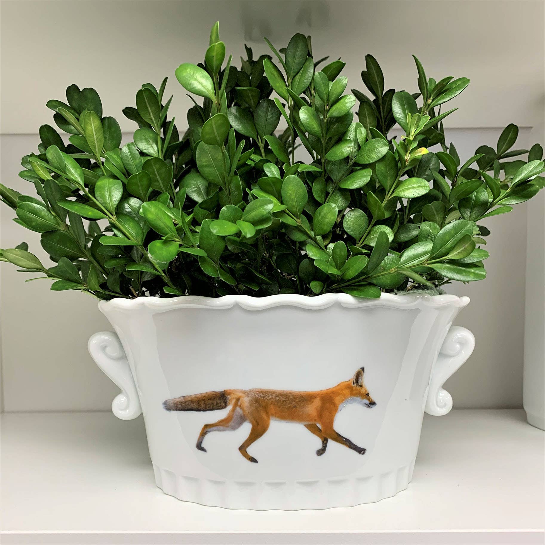 Running Fox - Oblong Porcelain Planter for wholesale by MacHatton & Hall, LLC