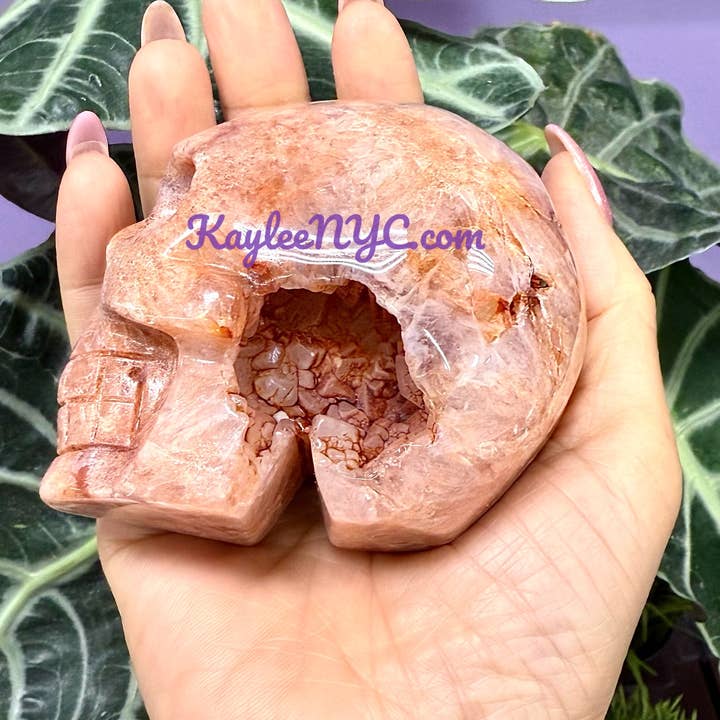 KayleeNYC - Wholesale Spiritual Stone/Crystal - Natural Carnelian Skull Crystal Healing Energy