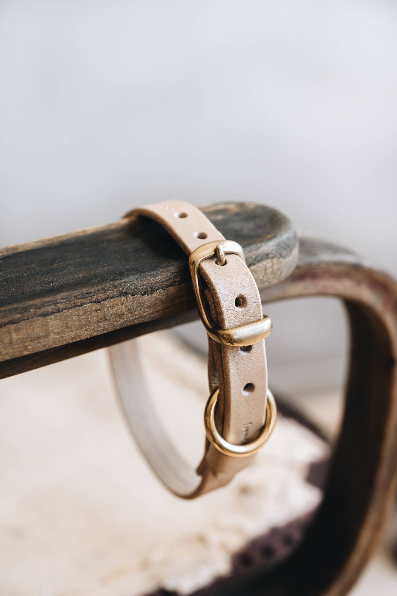 BAND&ROLL – Engroshandel Halsbånd - Hund – LETVÆGTS LÆDER HUND KRAVE. FIR luft20