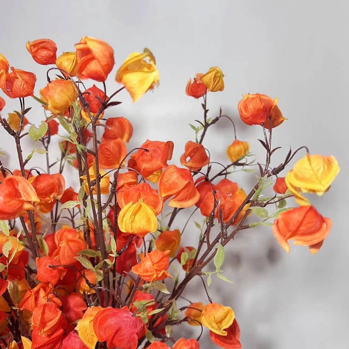 ACNITE(We cover U.S. import duties) - Wholesale Artificial flowers - Artificial lantern flowers silk fruit for autumn decor vase3