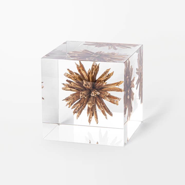 Lumière Creation - Wholesale Decorative Tabletop Object - Sympetalae Cube