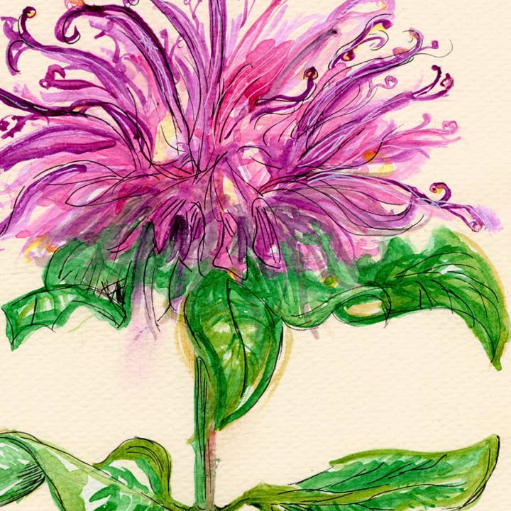Wild Botanical Atelier - Wholesale Art Print - Wildflower Watercolor Print Botanical Wall Art 2