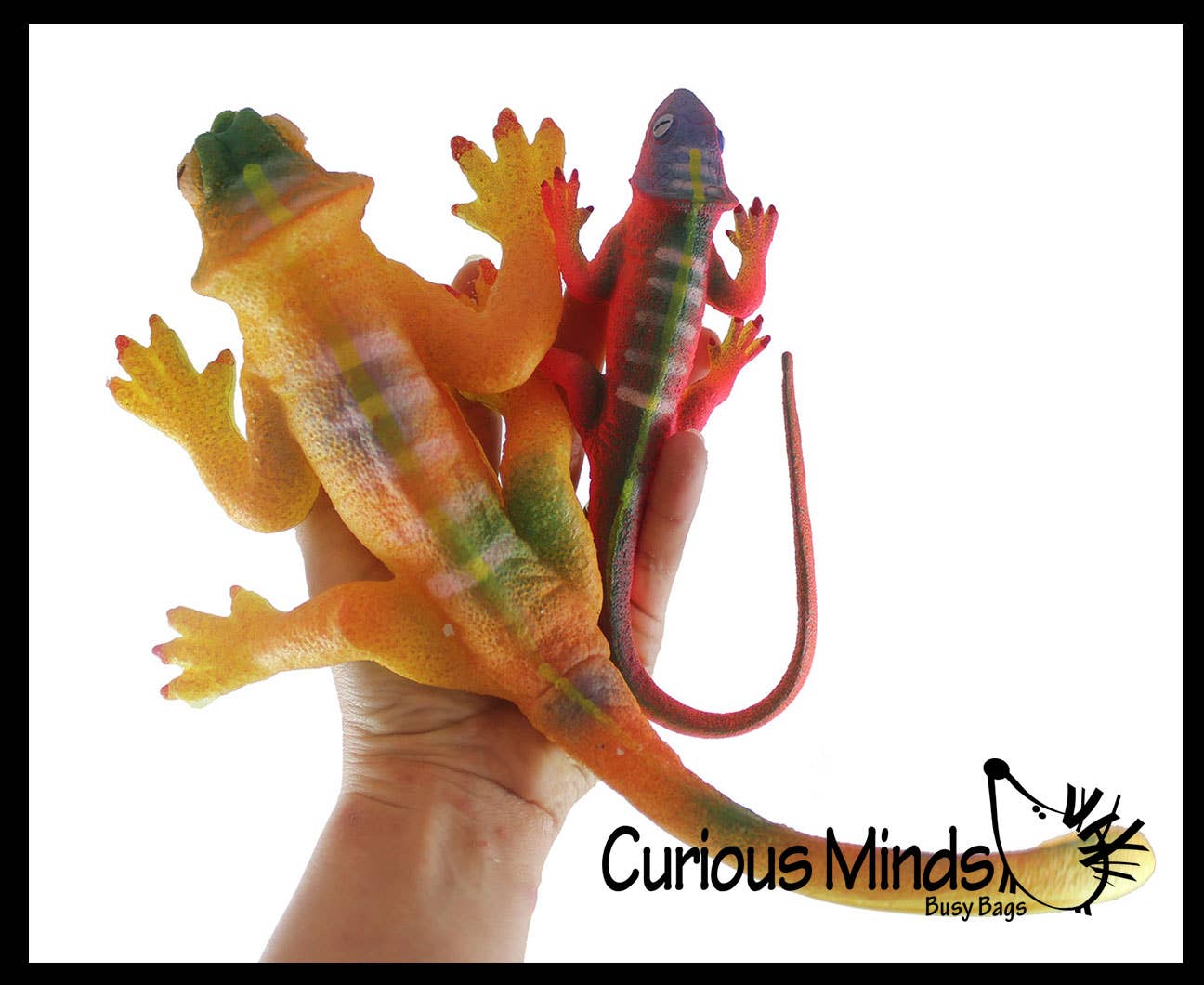 Curious Minds Toys - Vente Fidget/jouet anti-stress – enfant - 1 jumbo : faites pousser un lézard dans l'eau. Ajoutez de l'eau et il grandit15