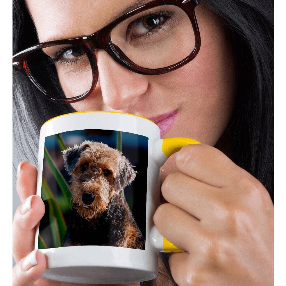 3dRose – Großhandel Kaffeebecher – 3dRose, Airedale Terrier, Tasse1