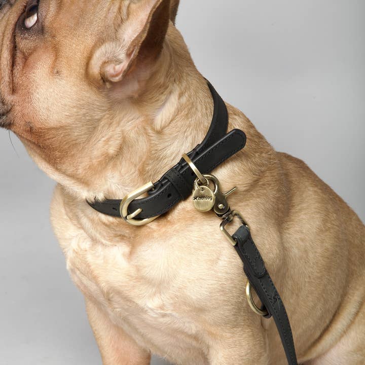 Nordog - Wholesale Pet Collar - Dog - Thomas Dog Collar Coal7