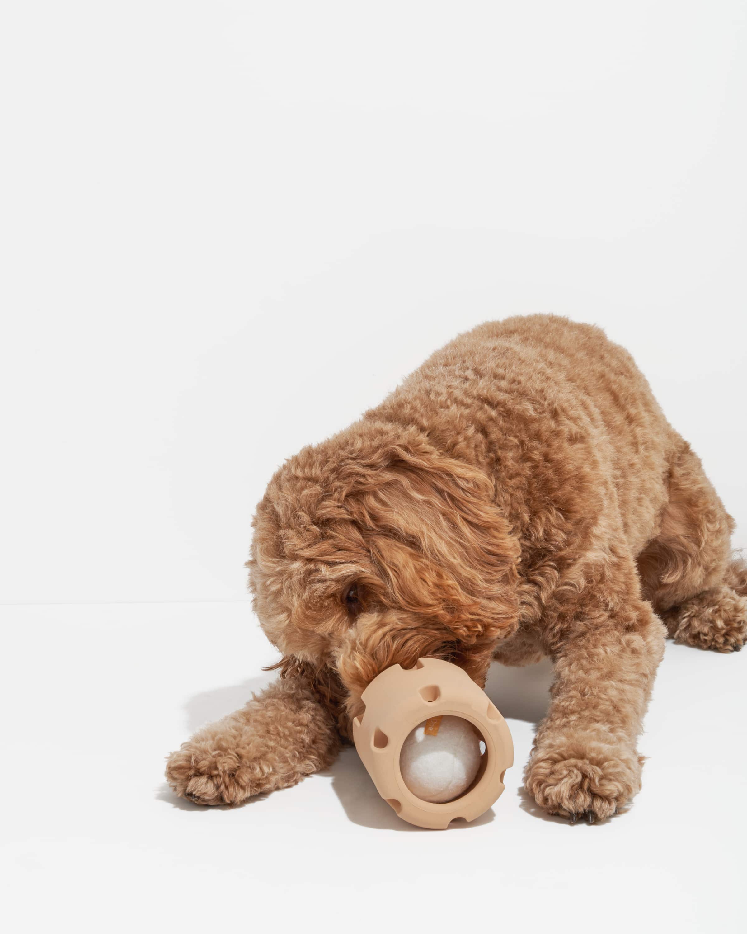 Wild One – Brinquedo - Cão por atacado – Queda de Ténis12