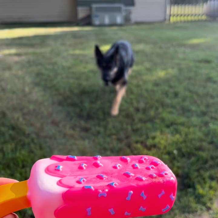 Popsicle dog toy sales