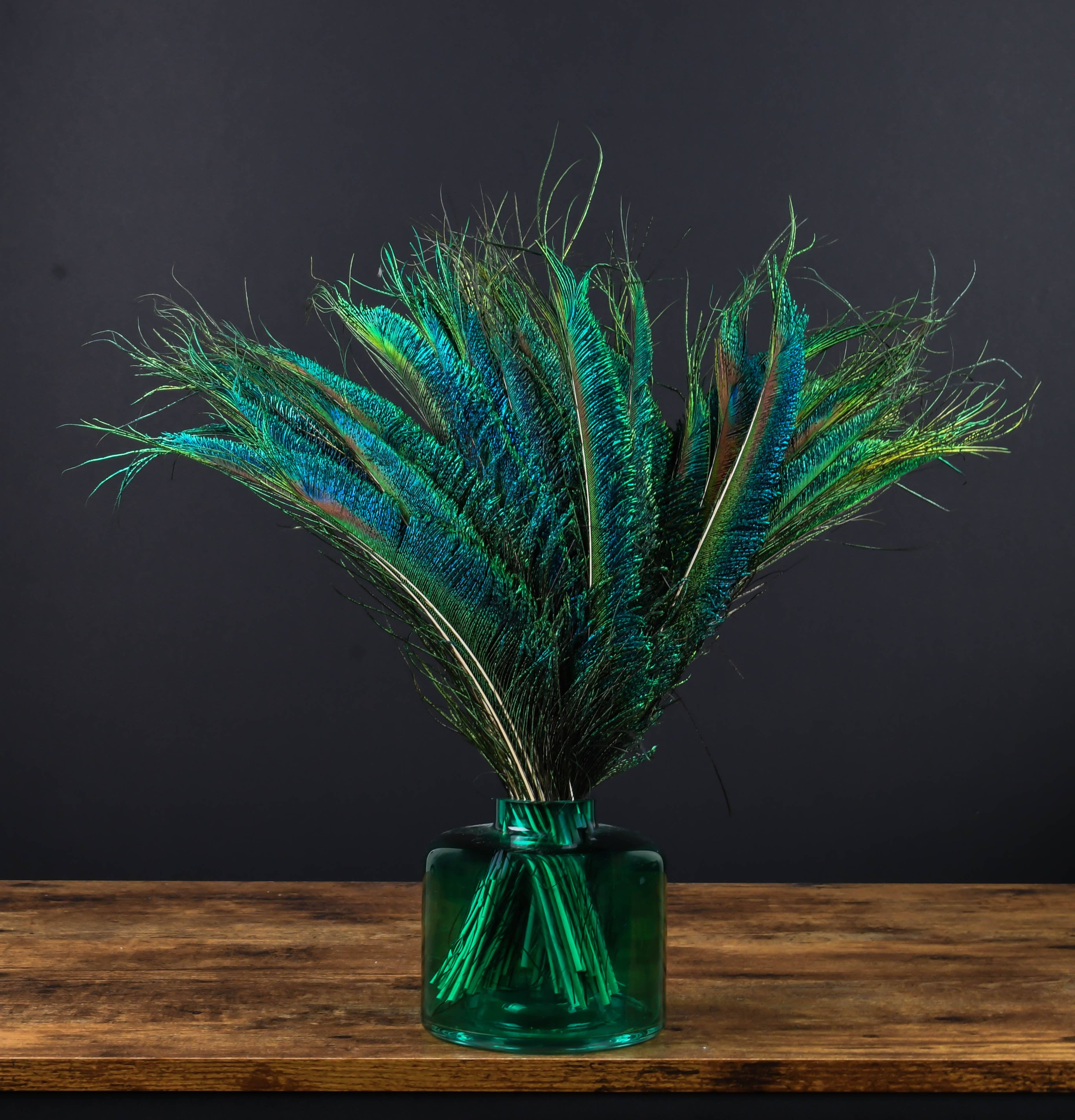 Plumes Naturelles - Wholesale Gedroogde/geperste bloemen - Peacock Feathers zwaard 25 centimeter2
